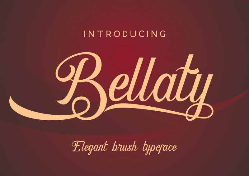 bellaty-display.jpg