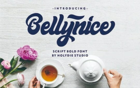 bellynice-bold-script-font.jpg