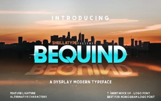 bequind-a-modern-dysplay-font.jpg