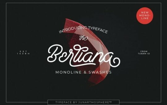 berliana-monoline-script-font-768x512-1.jpg