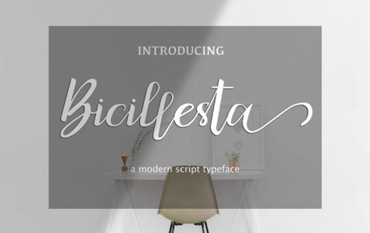 bicillesta-calligraphy-font.jpg