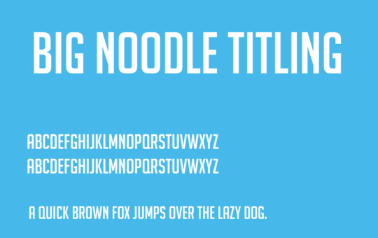 big-noodle-titling.png