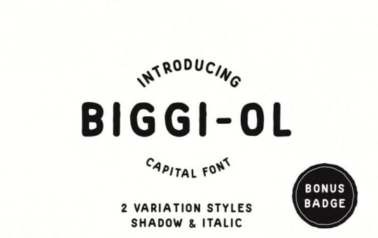 biggi-ol-font.jpg