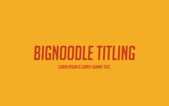 bignoodle-titling-741x415-a568753d9a.jpg