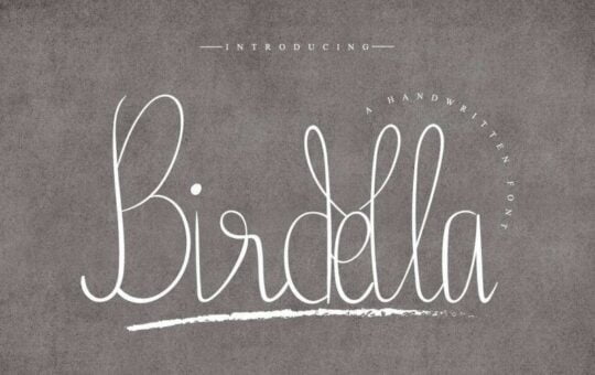 birdella-font.jpg