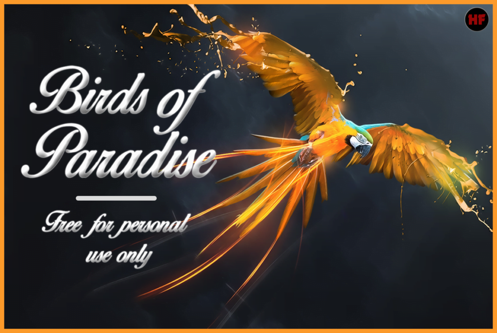 Birds of Paradise Font - Cool Fonts Guru