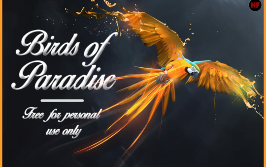 birds-of-paradise-personal-use-font-fireworks-23938.png