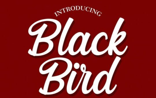 black-bird-font.jpg