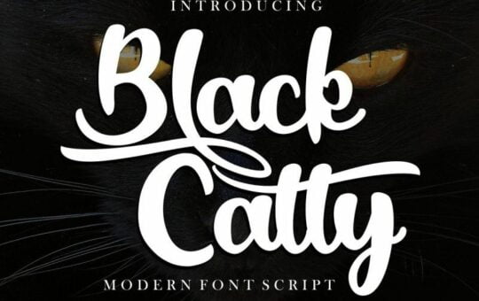 black-catty-script-font-1.jpg