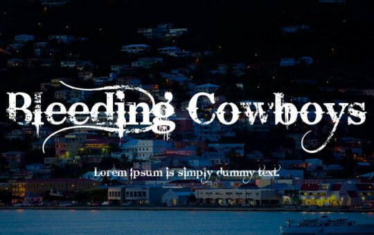 bleeding-cowboys-741x415-3d0c2e5cd3.jpg