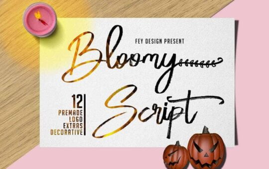 bloomy-script-handwritting-font-1.jpg