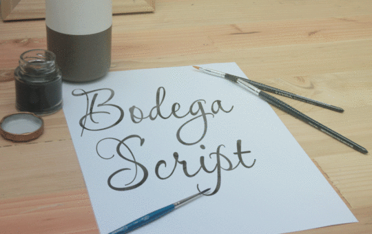 bodega-script.gif