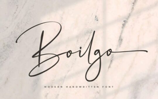 boilgo-font-1.jpg