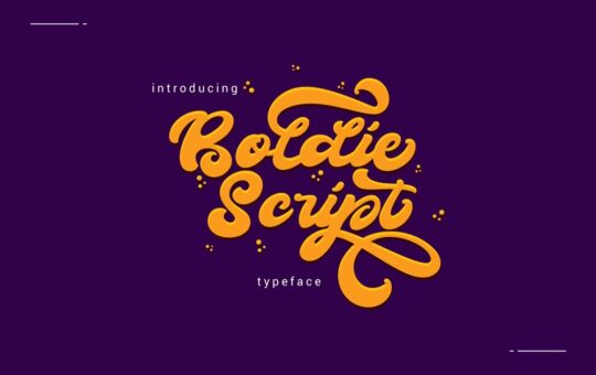boldie-script-font.jpg