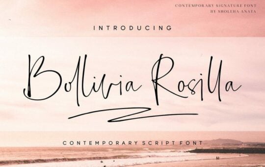 bollivia-rosilla-script-font-768x509-1.jpg