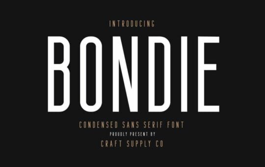 bondie-sans-serif-font-768x512.jpg