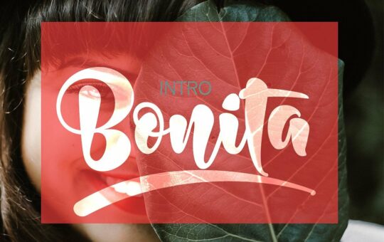 bonita-bold-script-font.jpg
