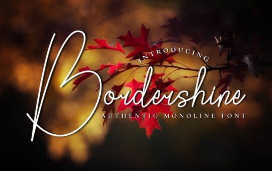 bordershine-monoline-font.jpg