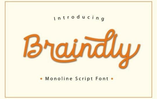 braindly-font.jpg