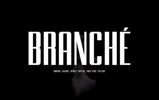 branche-typeface.jpg