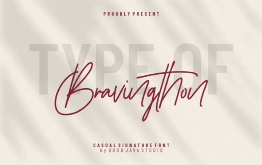 bravingthon-signature-font.jpg