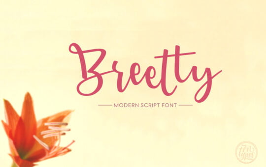 breetty-script-font-by-situjuh-nazara-1.jpg