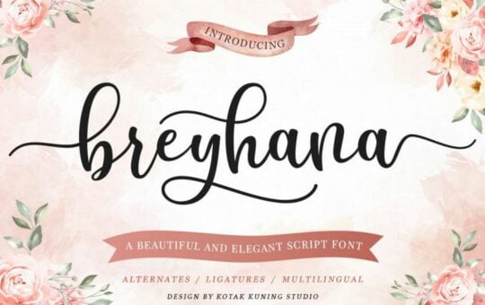 breyhana-script-font-1.jpg
