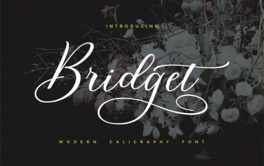 bridget-script-font-768x512-1.jpg