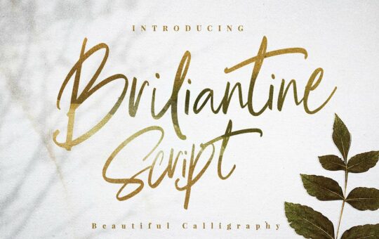 briliantine-script-font.jpg