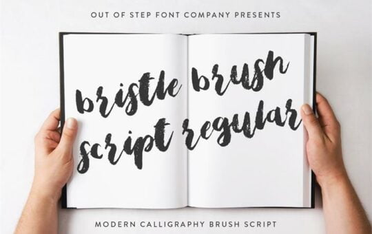 bristle-brush-script.jpg