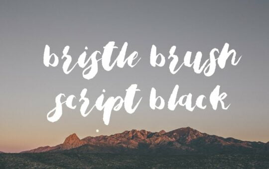 bristle-brush-script-black-font.jpg
