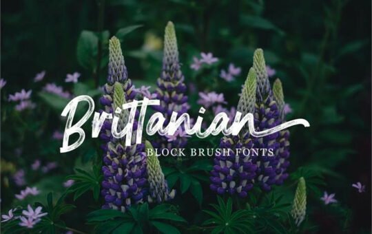 brittanian-font.jpg