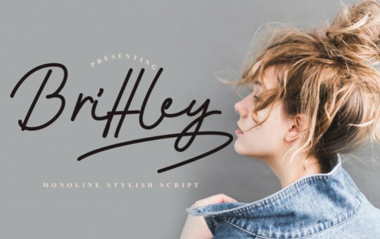 brittley-monoline-script-font-1.jpg