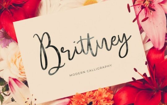 brittney-script-font.jpg