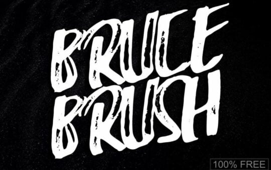 bruce-brush-font-1.jpg