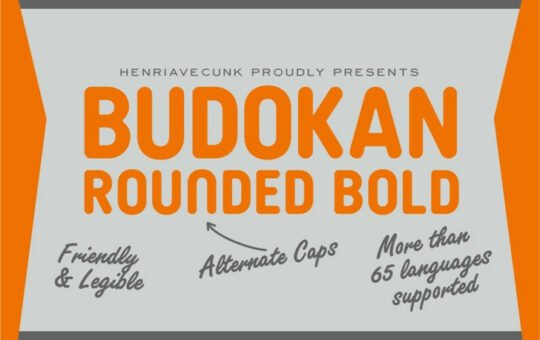 budokan-rounded-bold-font.jpg