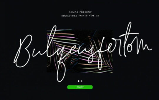 bulqeusfertom-signature-font.jpg