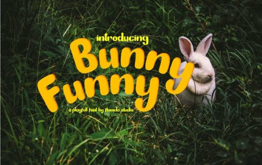 bunny-funny-playfull-font.jpg