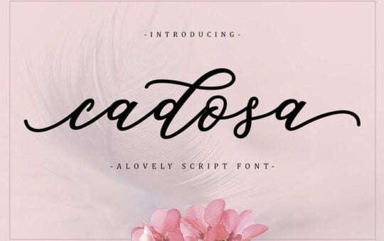 cadosa-script-font.jpg