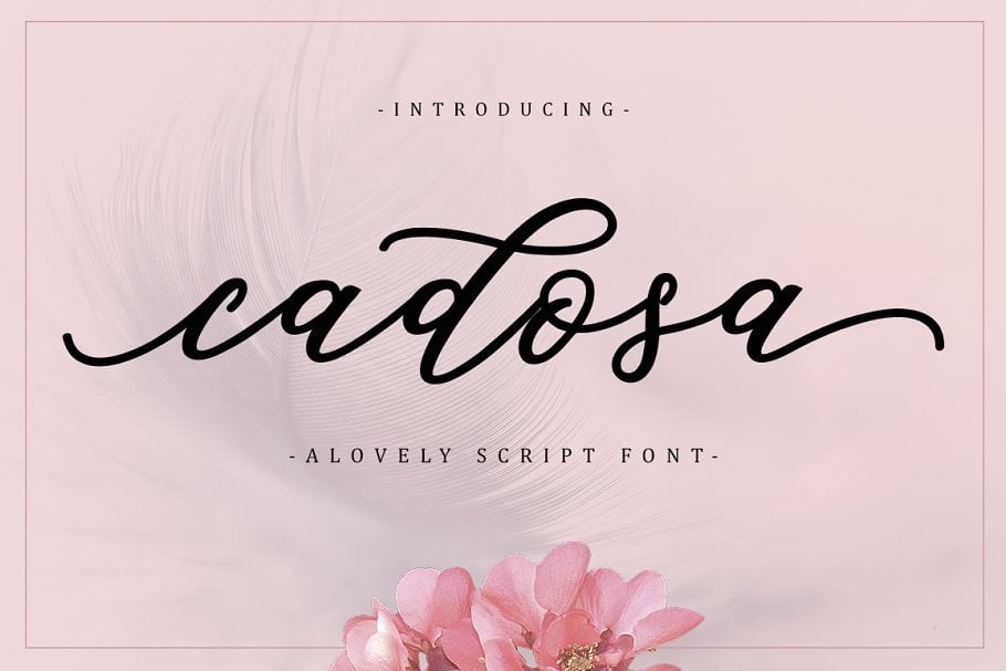 cadosa-script-font.jpg
