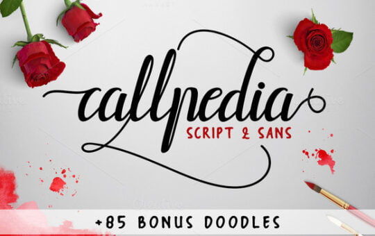 callpedia-2-styles-bonus.jpg