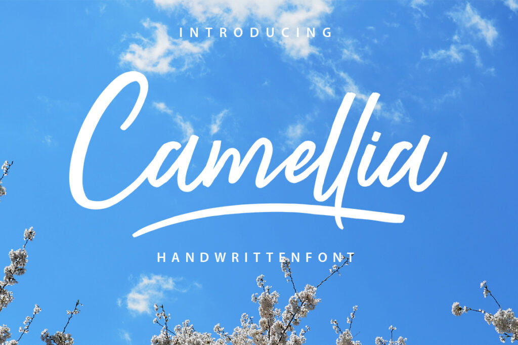 camellia-script-font.jpg