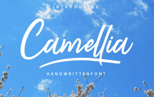 camellia-script-font.jpg