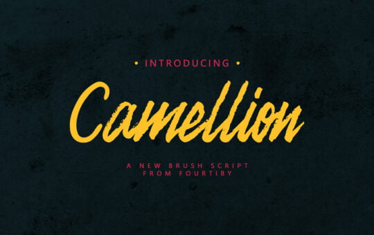 camellion-brush-font.jpg