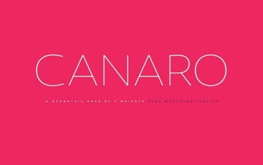 canaro-sans-font-family.jpg