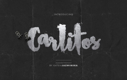 carlitos-grunge-script.jpg