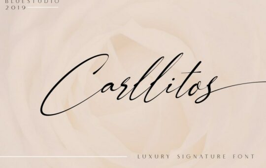 carllitos-signature-font-1.jpeg