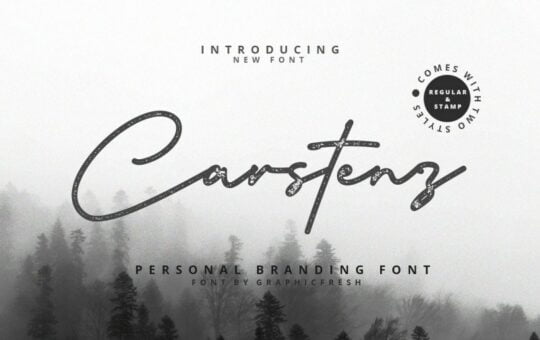 carstenz-vintage-script-font.jpg