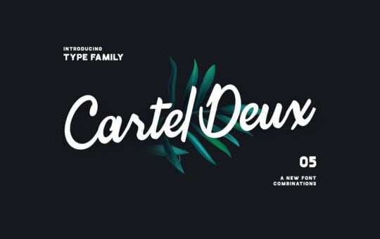 cartel-deux-script-font-family.jpg