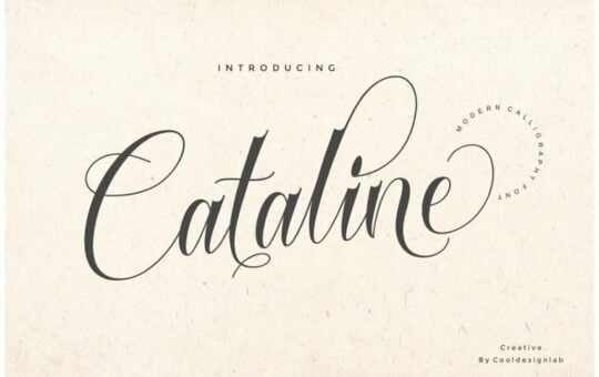 cataline-script-font-768x512-1.jpg